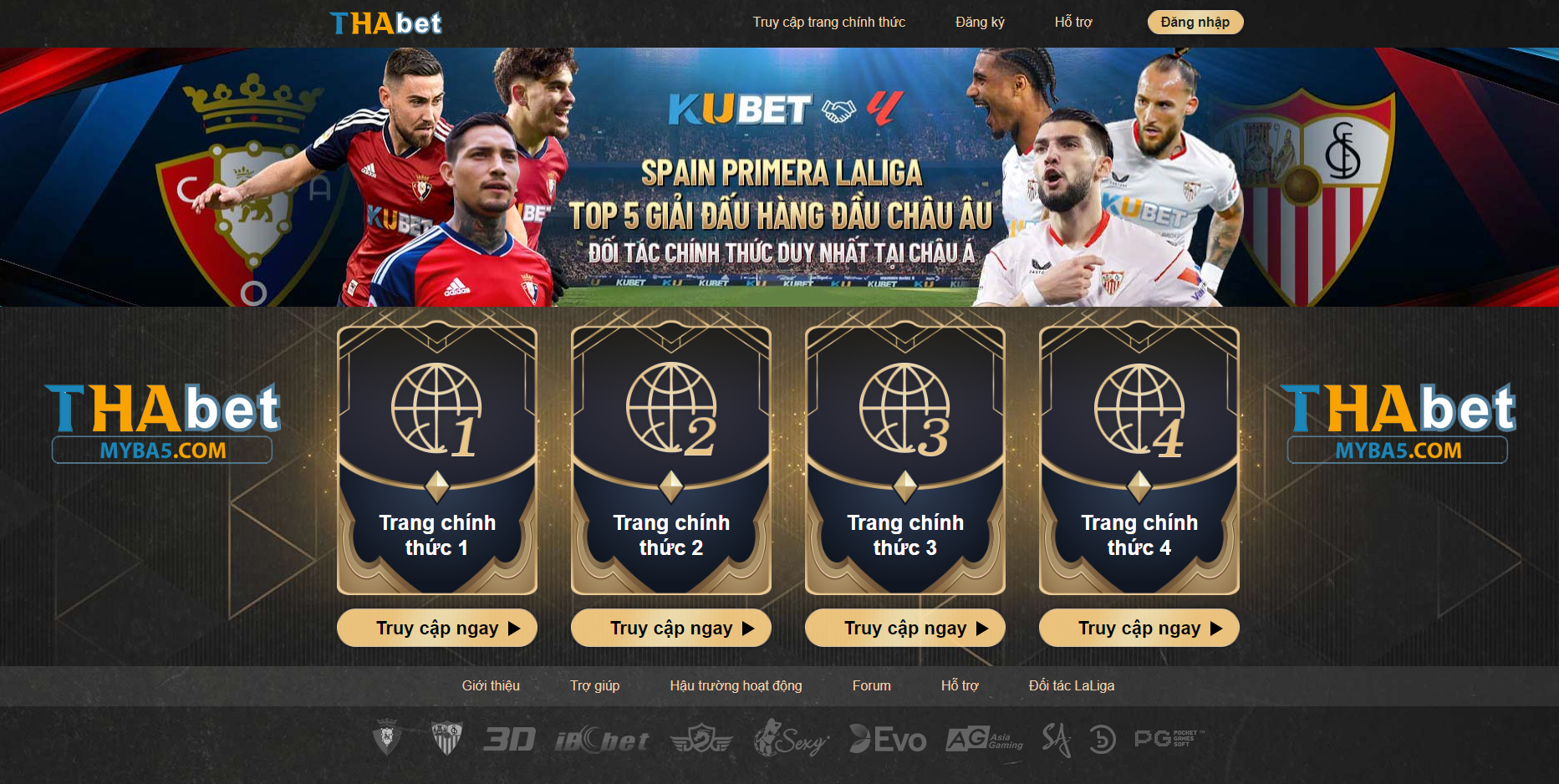 Giới thiệu về MYBA5 và Thabet